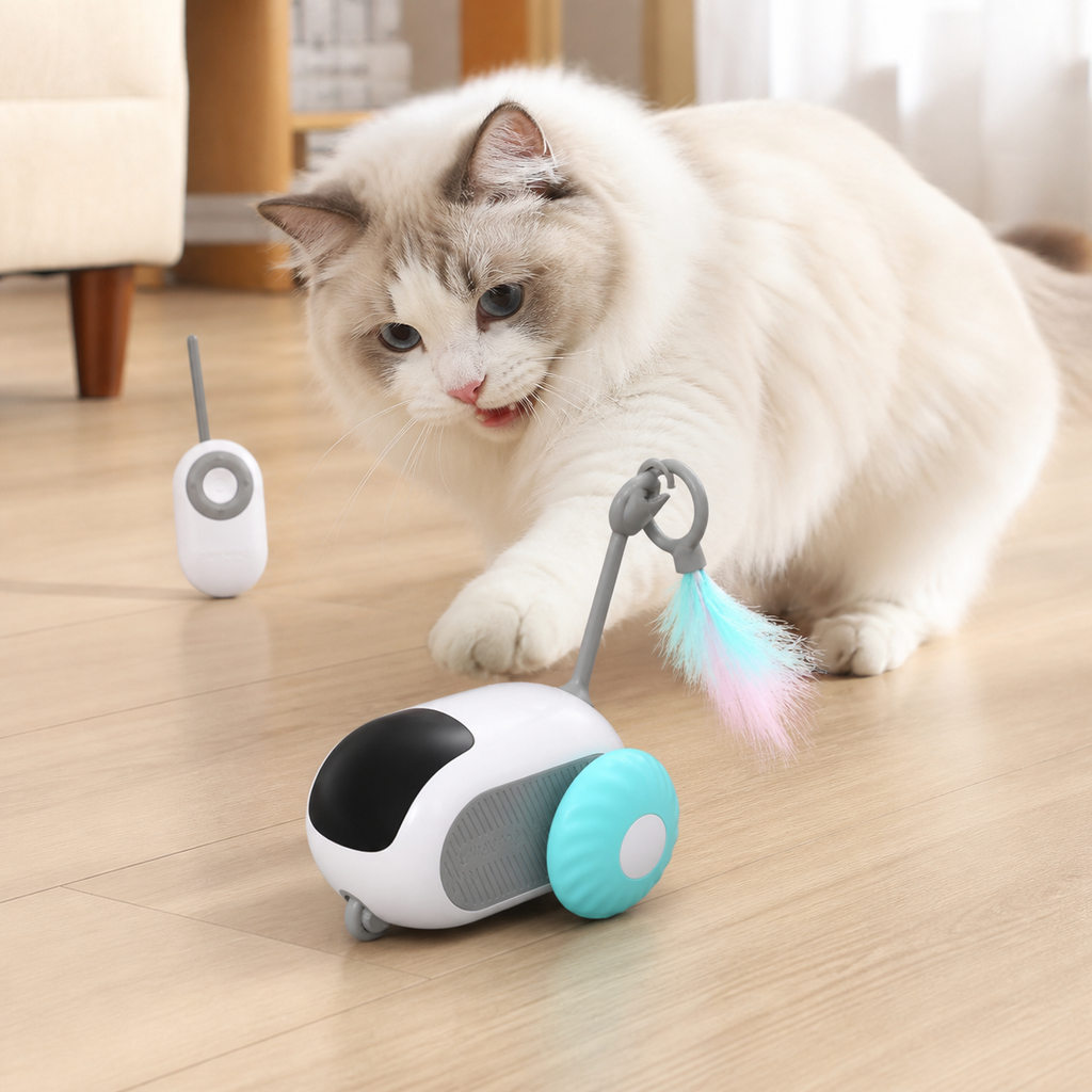 Remote-Control Cat Chase Toy
