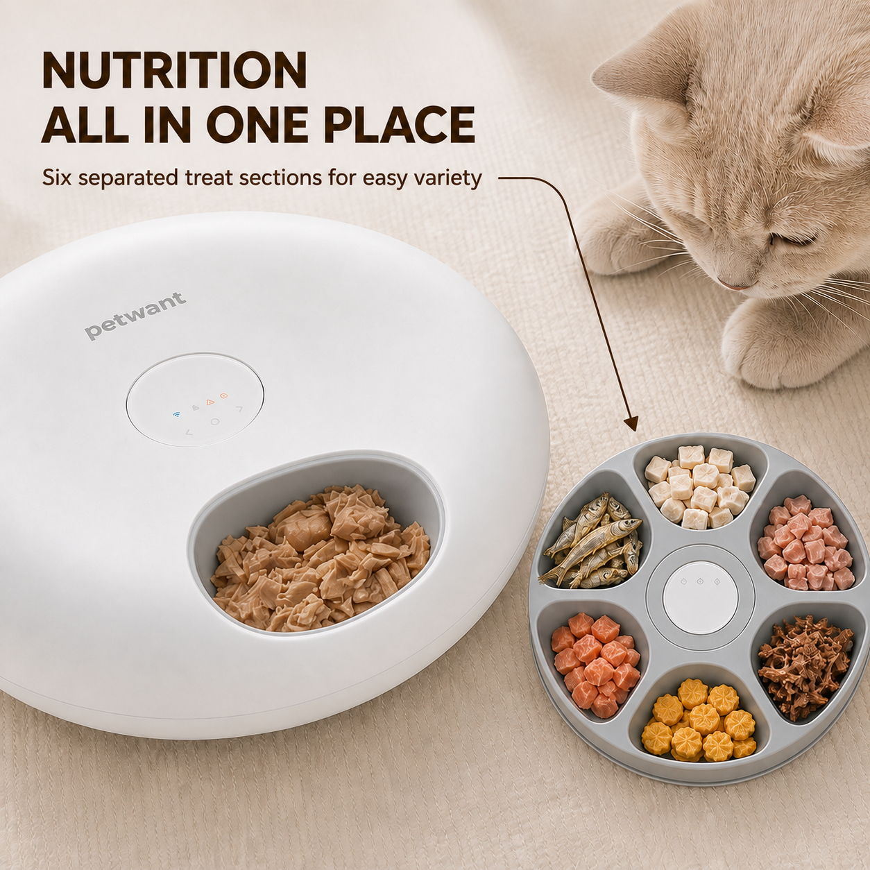 Smart Freeze-Dried Snack Feeder