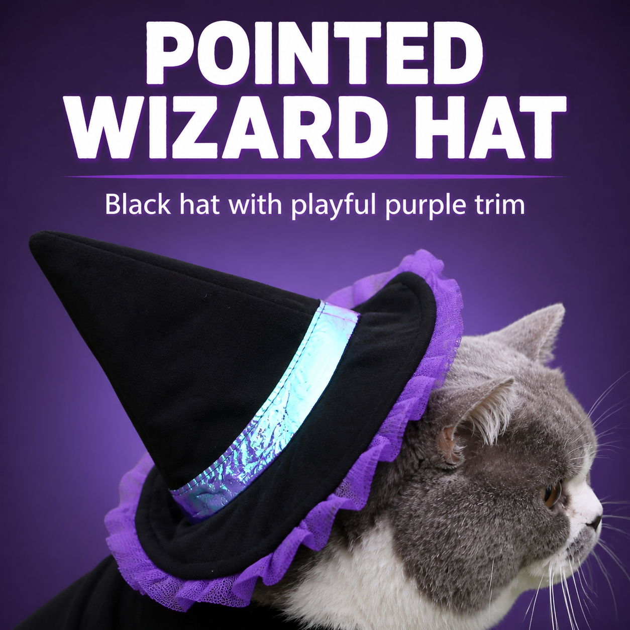 Wizard Cat Costume