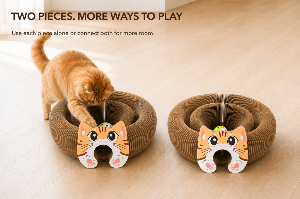Magnetic Kitty Kurls Cat Scratcher