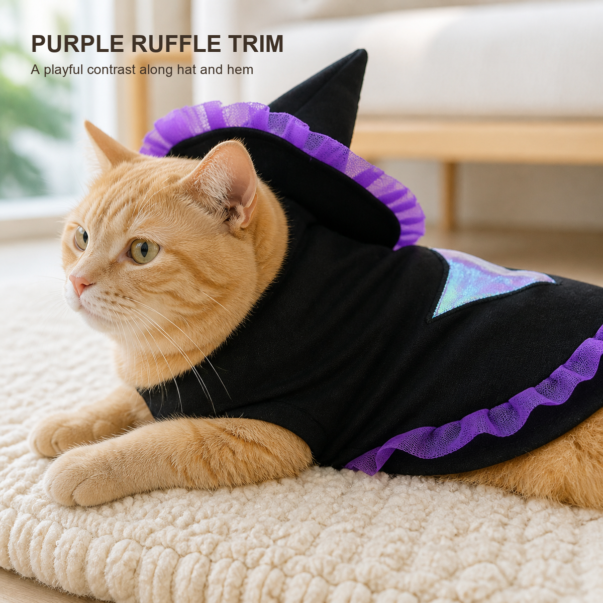 Wizard Cat Costume