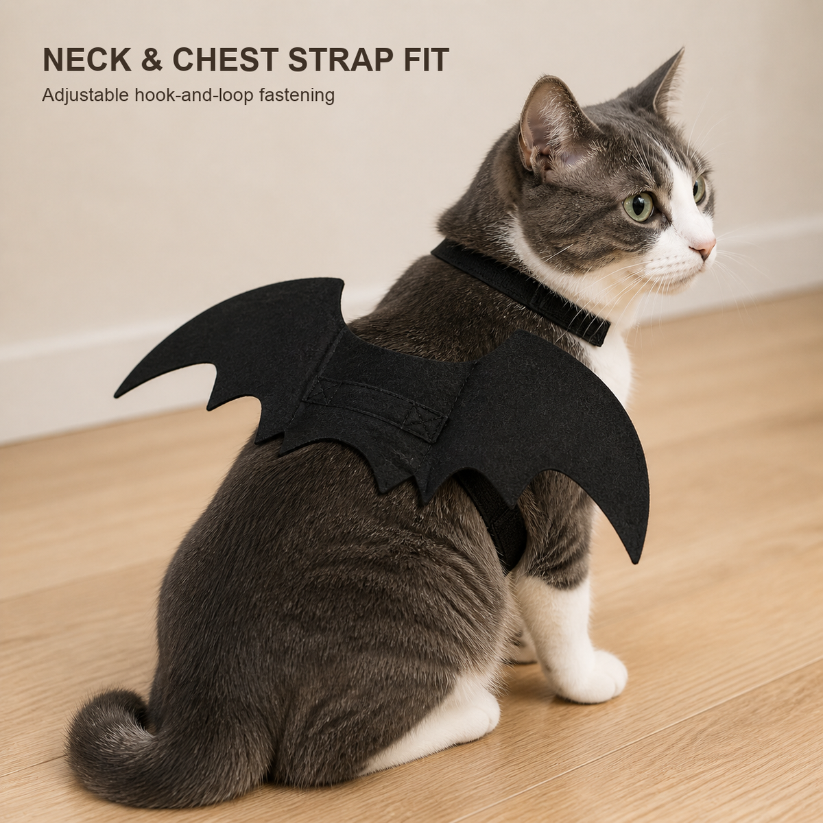 Bat Wing Cat Costume
