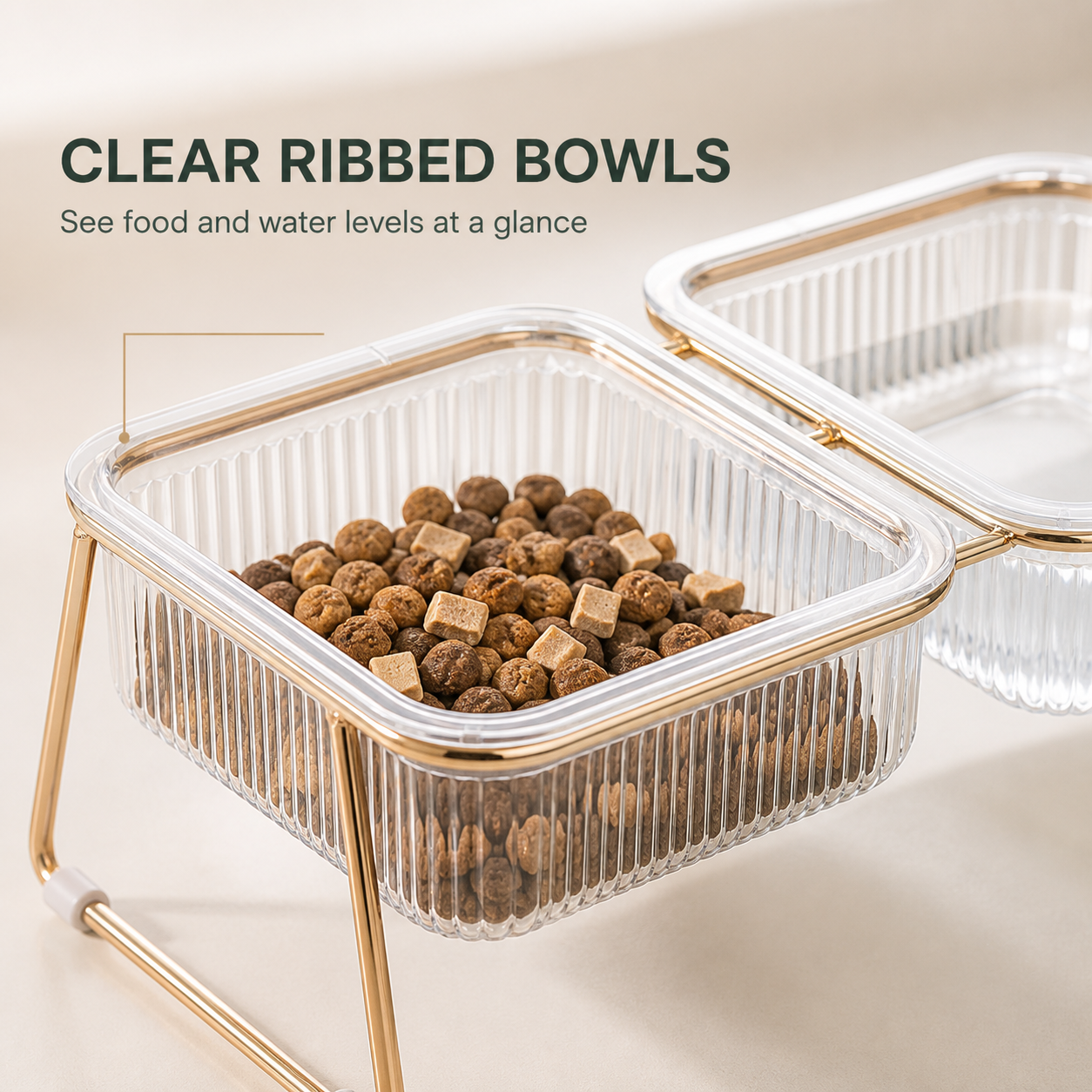 Raised Transparent Cat Bowl