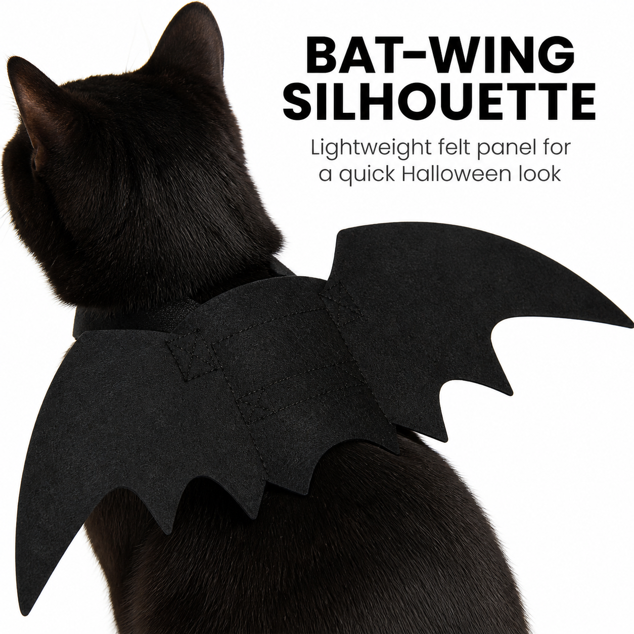 Bat Wing Cat Costume