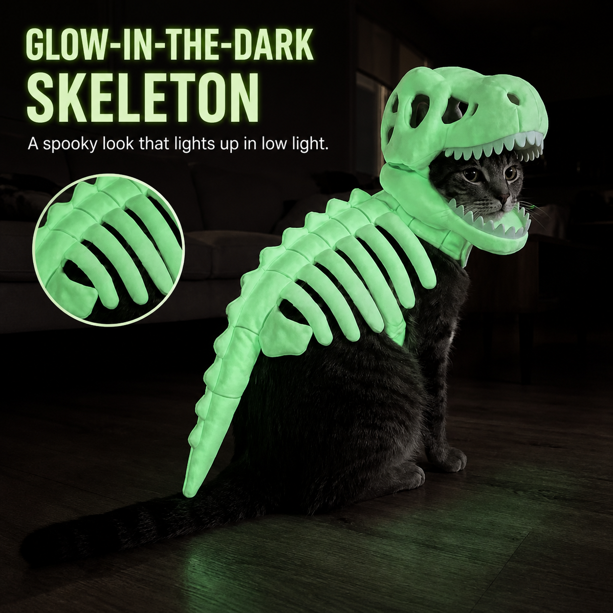 Dinosaur Skeleton Cat Costume