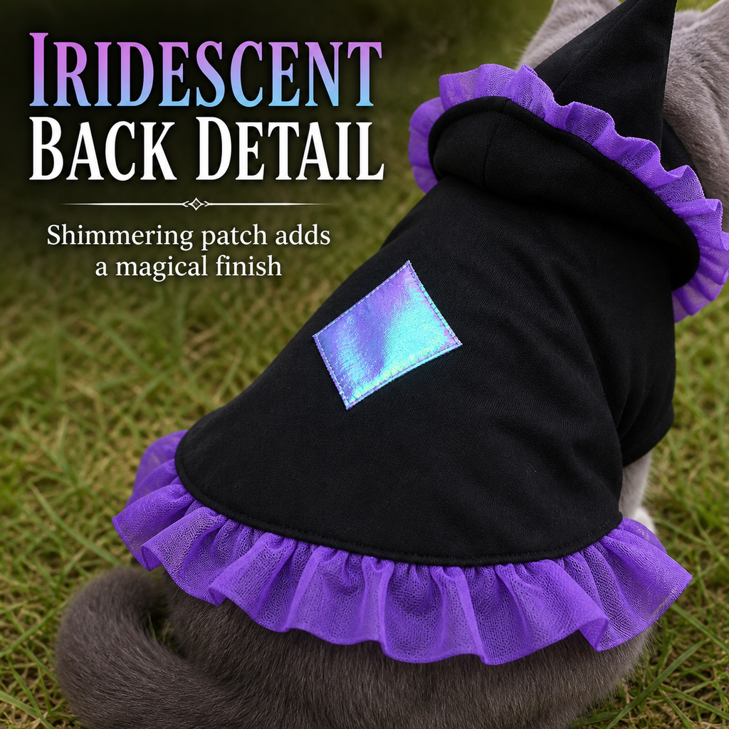 Wizard Cat Costume