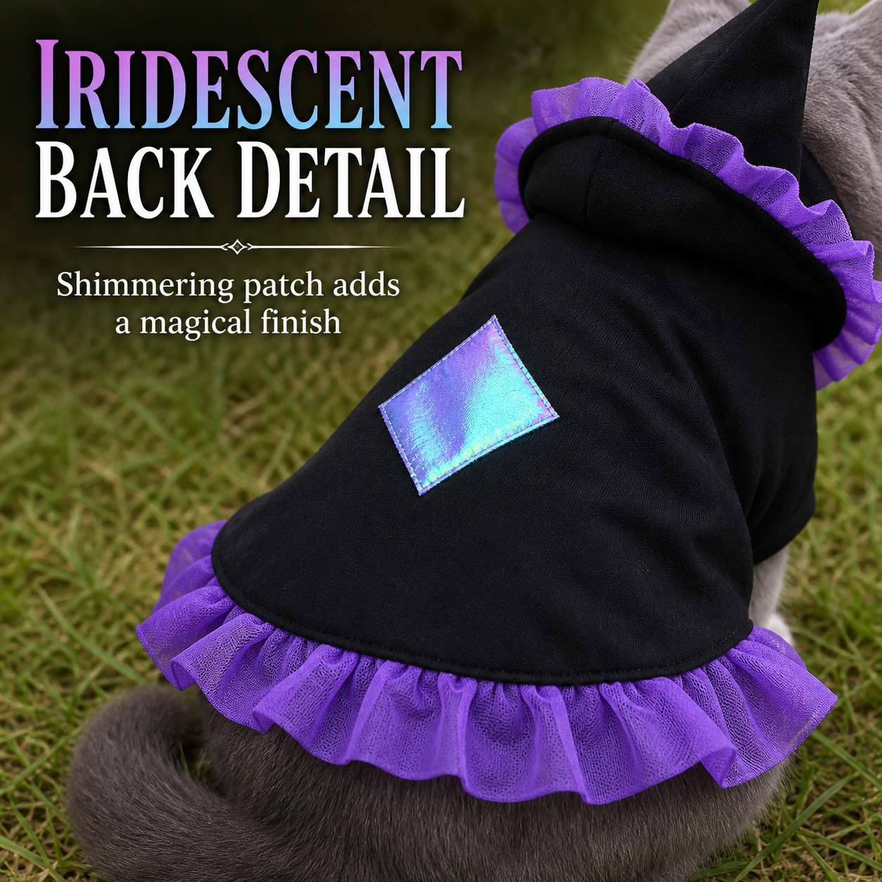 Wizard Cat Costume