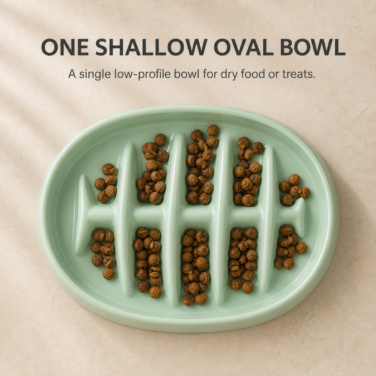 Fishbone Slow Feeder Bowl
