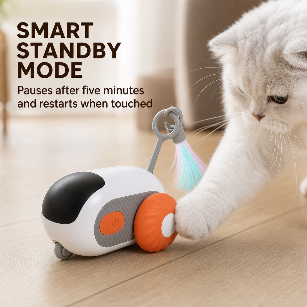 Remote-Control Cat Chase Toy