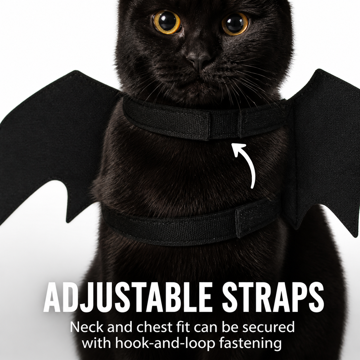 Bat Wing Cat Costume