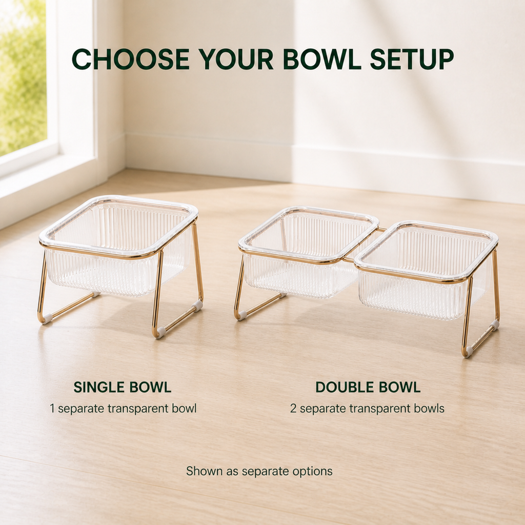 Raised Transparent Cat Bowl