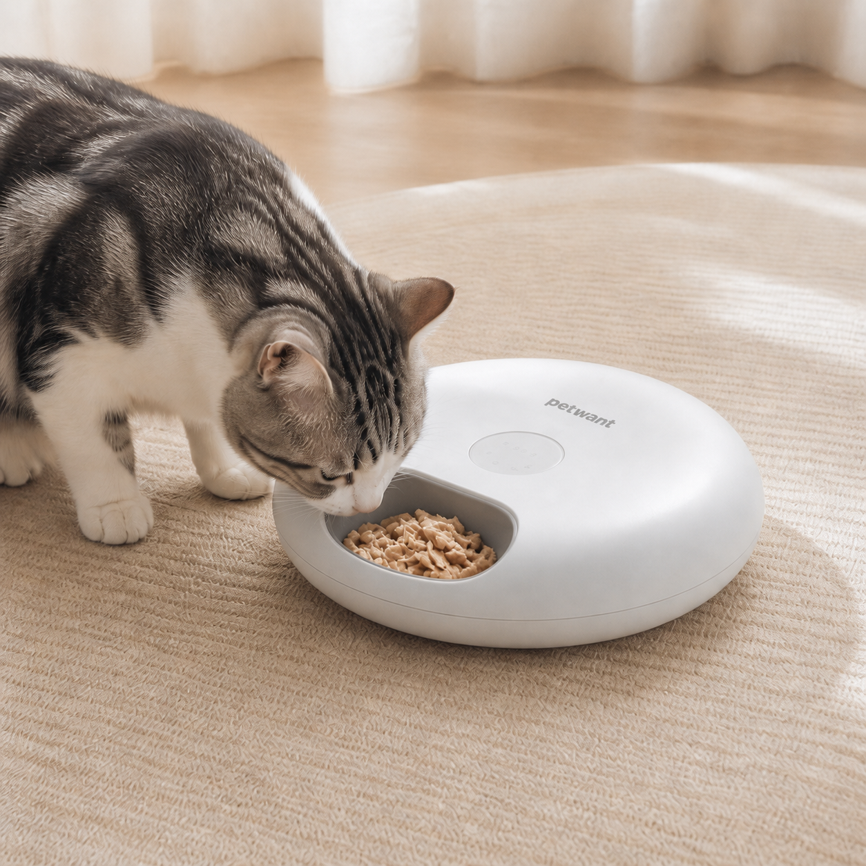 Smart Freeze-Dried Snack Feeder