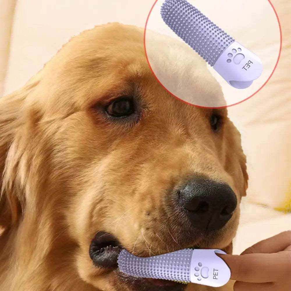 Silicone Finger Cat Toothbrushes