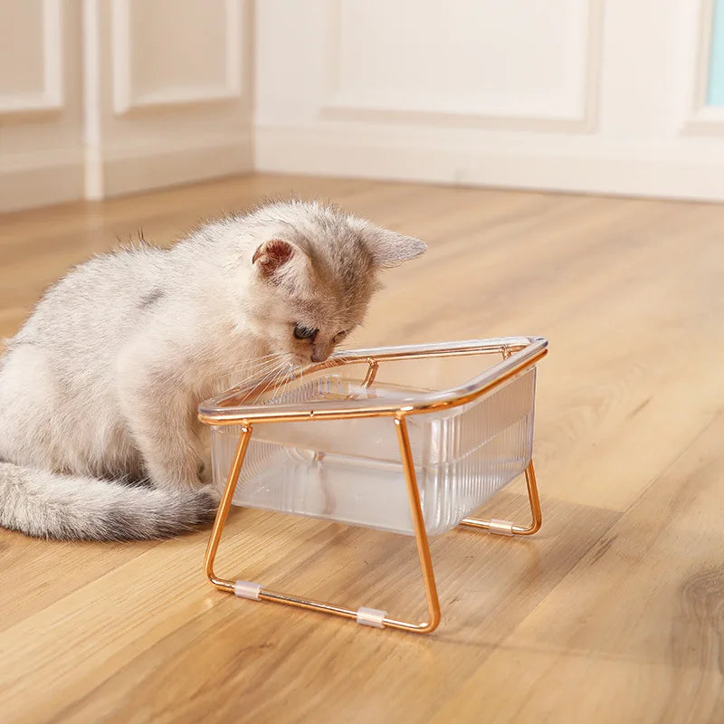 Raised Transparent Cat Bowl