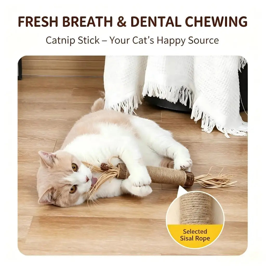Silvervine Cat Chew Sticks