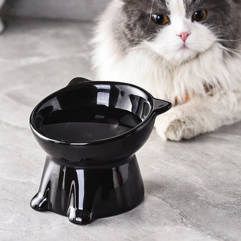 Raised Cat Food Bowl