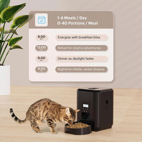 2L Timed Cat Feeder