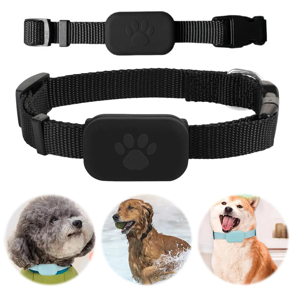 Adjustable Pet Locator Collar