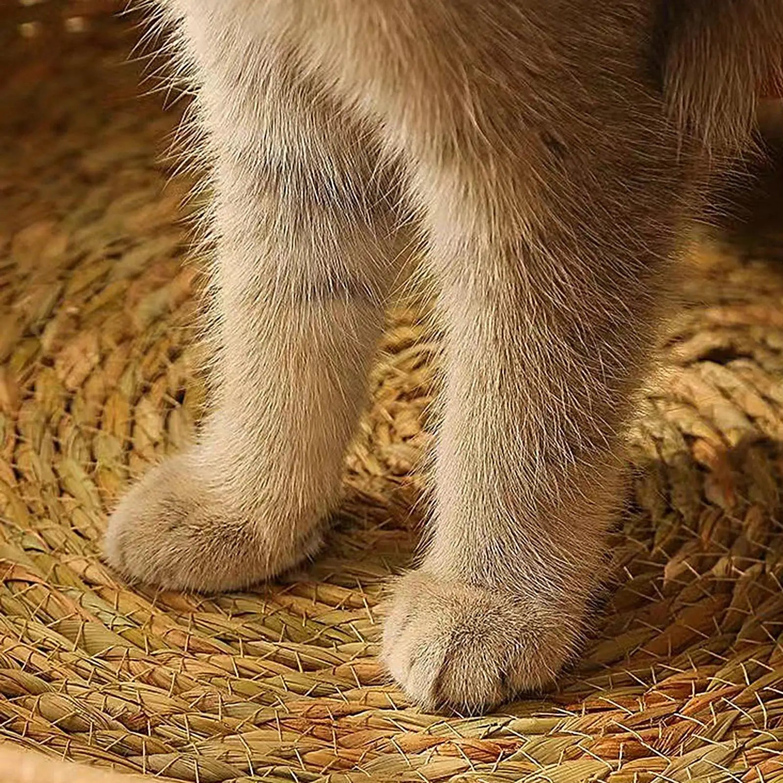 Cotton Rope Cat Basket Bed