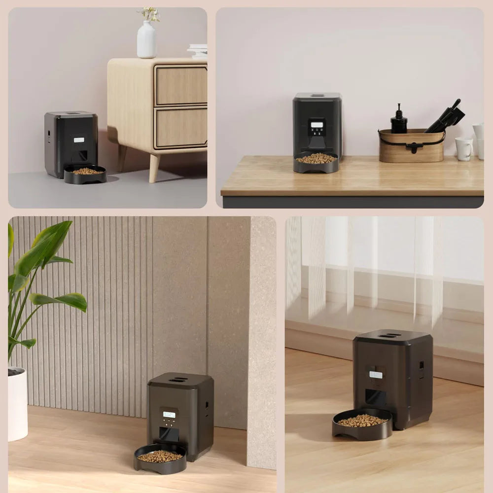 2L Timed Cat Feeder