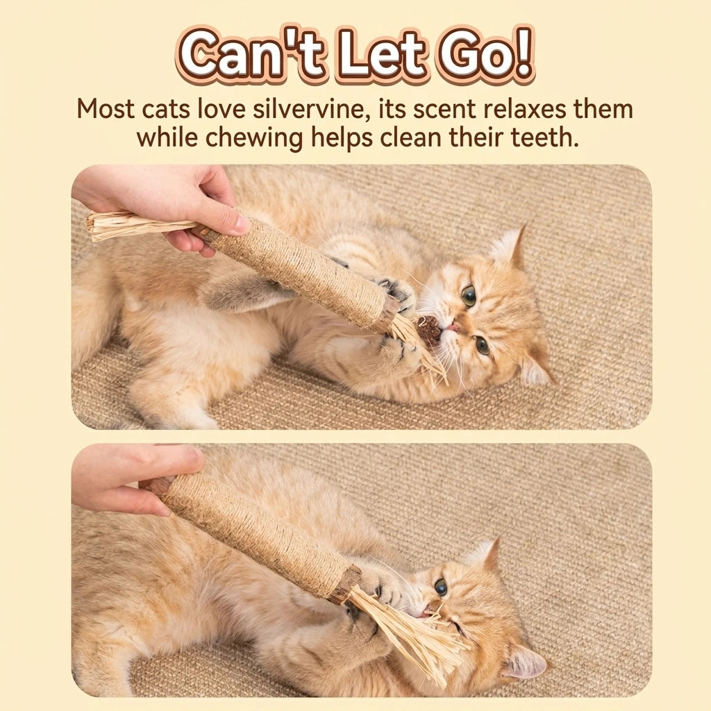Silvervine Cat Chew Sticks