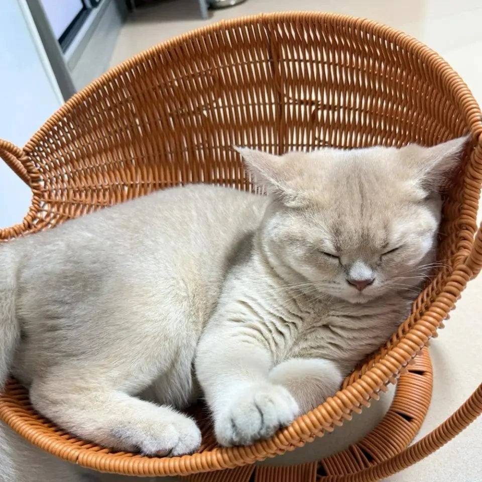 Faux Rattan Cat Basket Bed