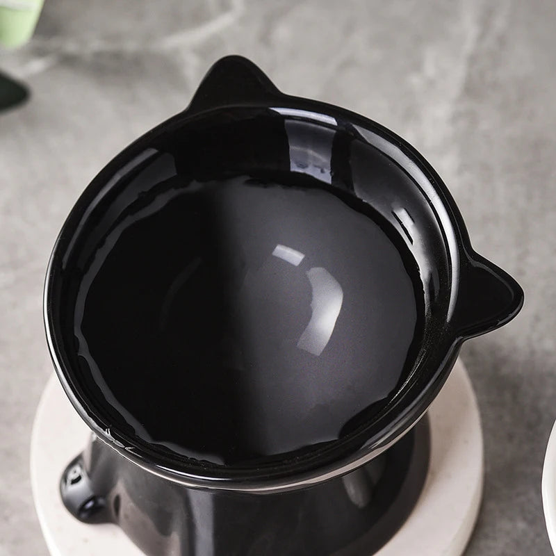 Raised Cat Food Bowl