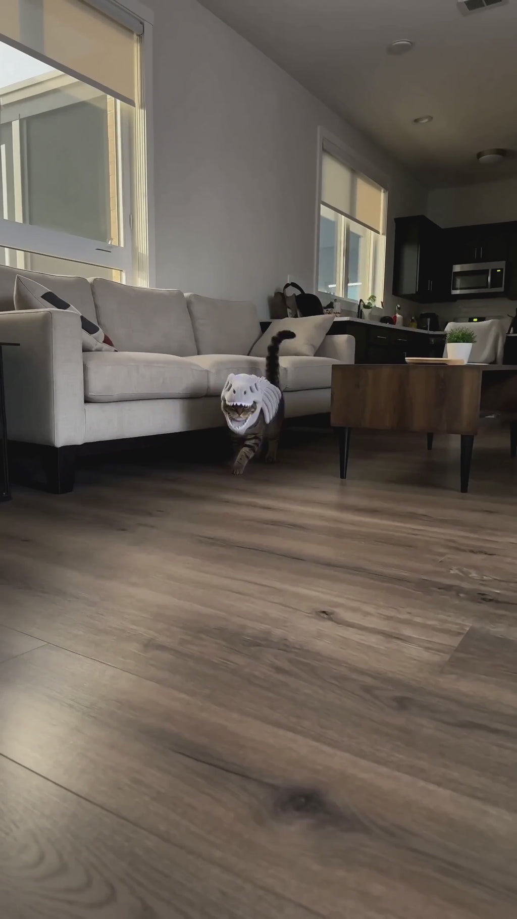 Dinosaur Skeleton Cat Costume